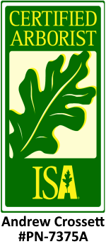 International Society of Arboriculture